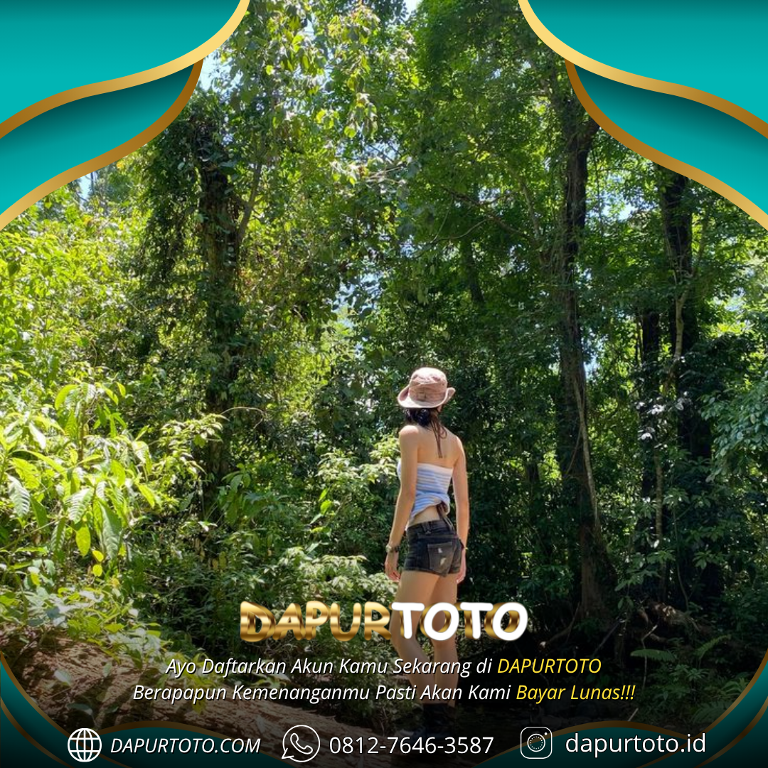 DAPURTOTO : Bo Togel Online Dan Bandar Togel Terpercaya Penyedia Pasaran Terlengkap Di Indonesia